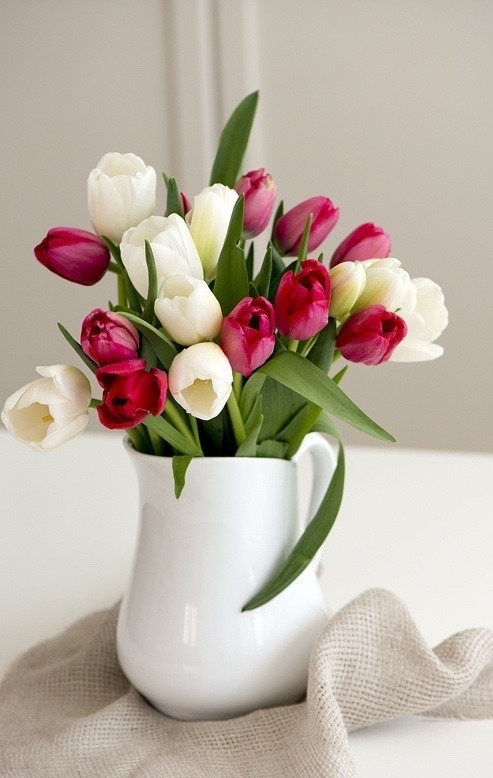 jarripa:  Tus flores. 