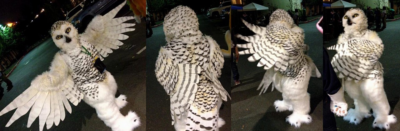 This owl &lt;3 &lt;3Look at all the feathering..! So prettySuit is by Crystumes,