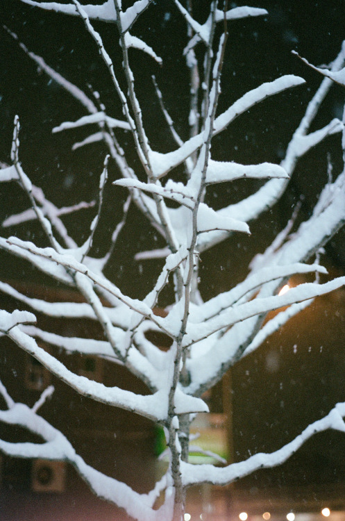 A few photos from the winter months at the beginning of the year. - By Patricia Ellah 