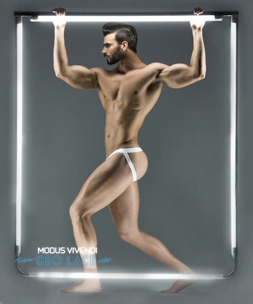 adonizm:    Alexandros Kaltsidis for  Modus Vivendi