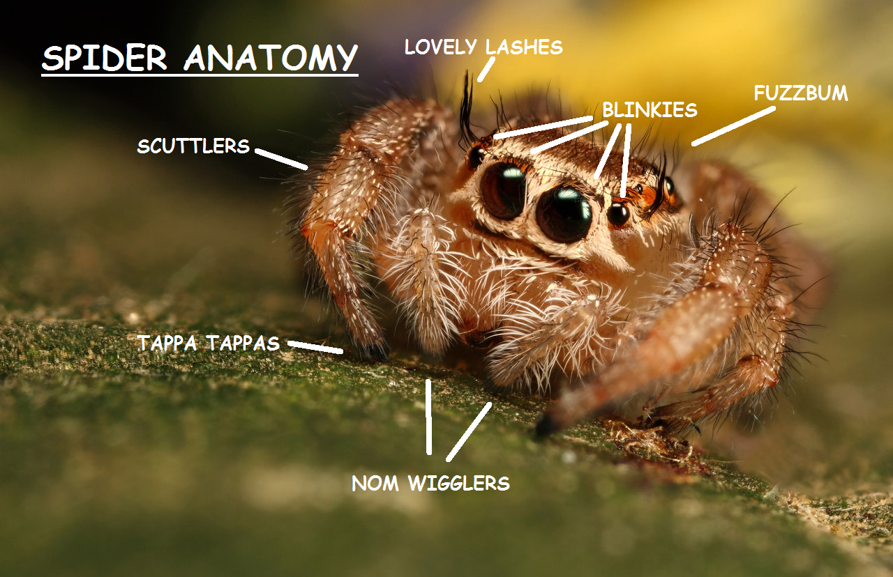 firegrowshigher:  100% scientifically accurate 