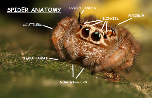 firegrowshigher:  100% scientifically accurate 