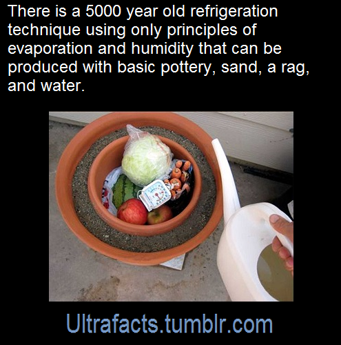 cwicseolfor:  ultrafacts:   A pot-in-pot refrigerator, clay pot cooler is an evaporative coolin