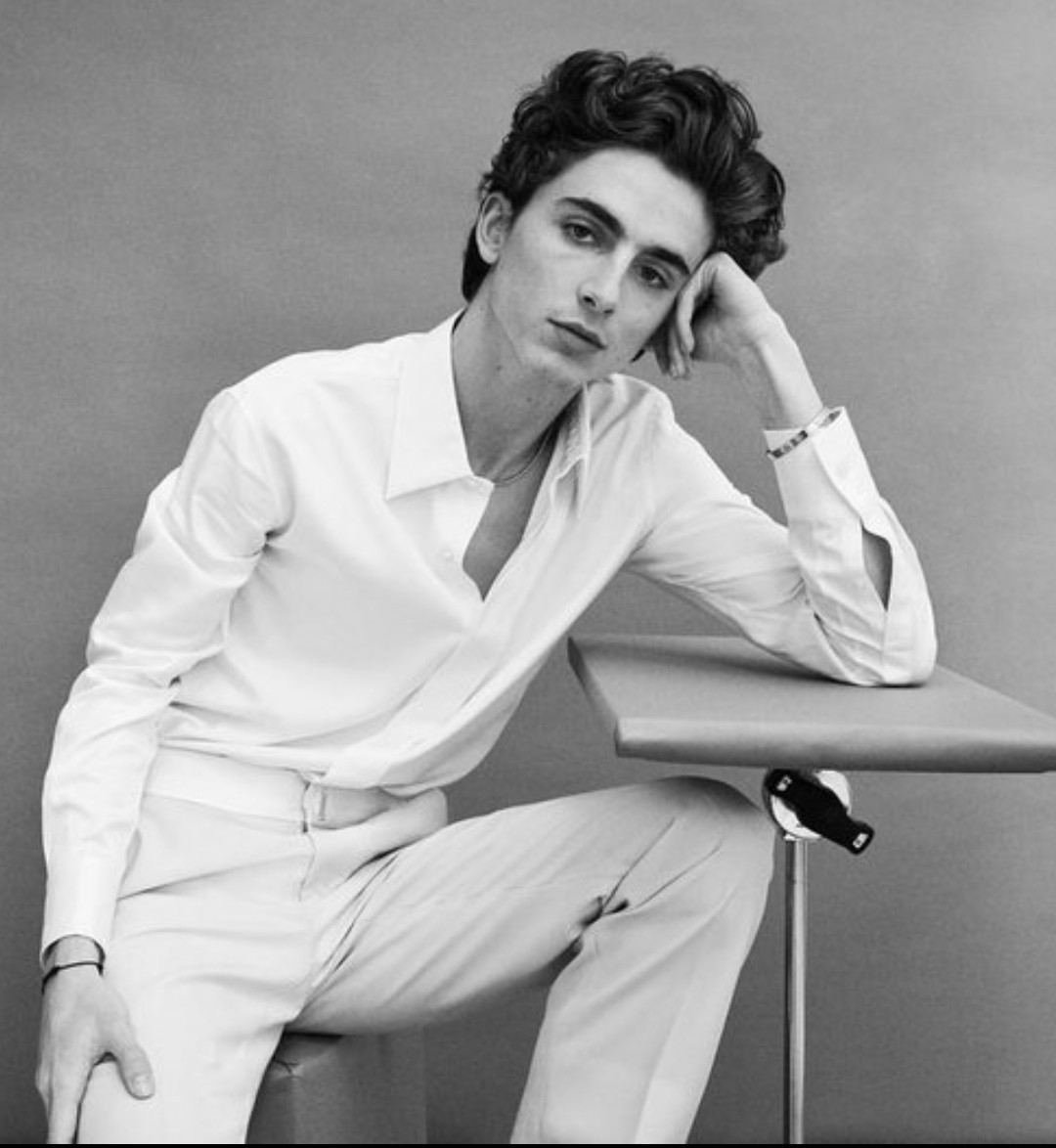 All the Times Timothée Chalamet Has Worn a Gold Chain - PAPER Magazine