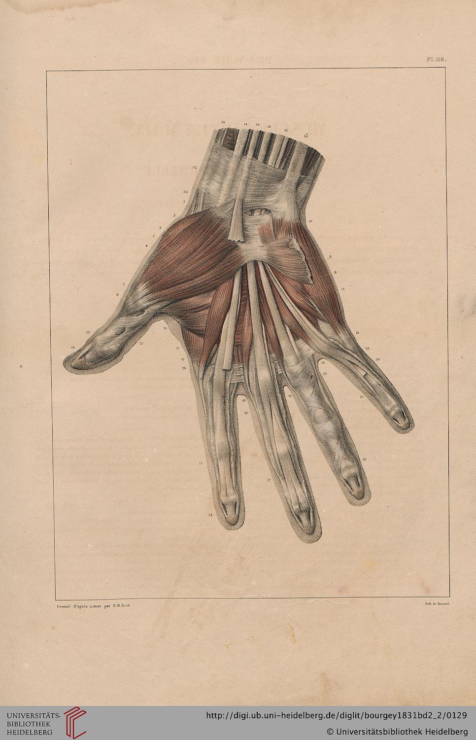 ooksaidthelibrarian:  Bourgery, Jean Baptiste Marc ; Jacob, Nicolas Henri [Hrsg.]Traité