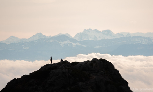 Contempler les Alpes.(Parc naturel régional du Pilat - Décembre 2020).A Julie…© Quentin Douch