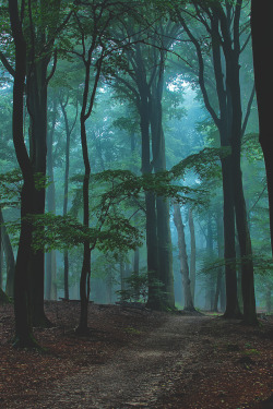 visualechoess:  Blue mist - by: Ruud van Putten