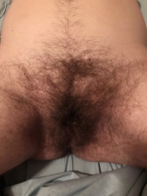 Porn onlyhairywives: onlyhairywives:  My wife’s photos
