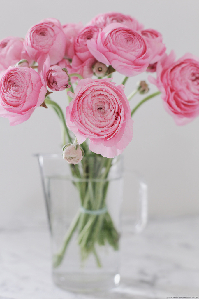 floralls:  Inside My Parisian Apartment (by Paris in Four Months) 