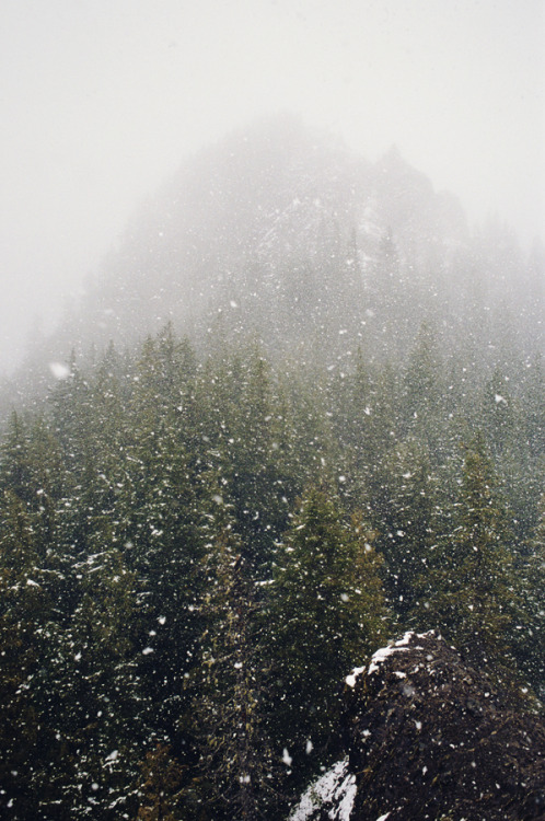 kushandwizdom:  More photography here