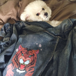 Did you know that this Tiger Jean Jacket exists IRL? It belongs to Eric Edelstein (the voice of Grizz) and his dog, Liberace!