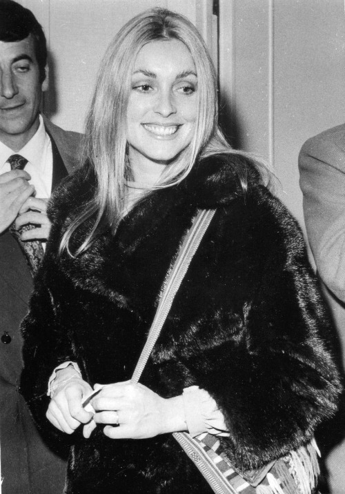 Sharon Tate meeting with co-star Vittorio Gassman & studio reps in Rome, spring 1969