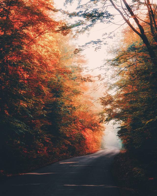 October Breeze & Autumn Dreams 🧡 on Tumblr