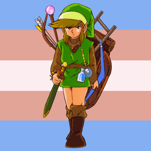 Trans flag but it’s color-picked from The Hero of Hyrule (The Legend of Zelda).