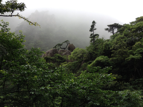90377:Huangshan (Yellow Mountain) - Foggy Hike by Catherine Frisbie
