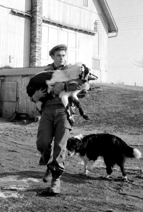 thelittlefreakazoidthatcould:James Dean photographed by Dennis Stock, Fairmount, Indiana, 1955.