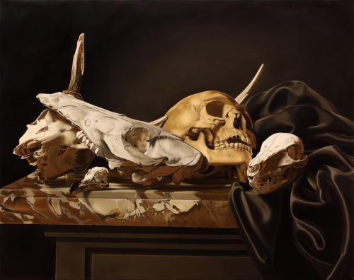 Sierk Van Meeuwen, Animal Skulls.