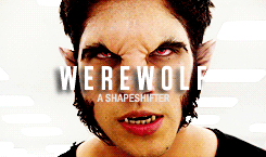 helloinej:  Is it me or is Beacon Hills turning into more like Beacon for the totally