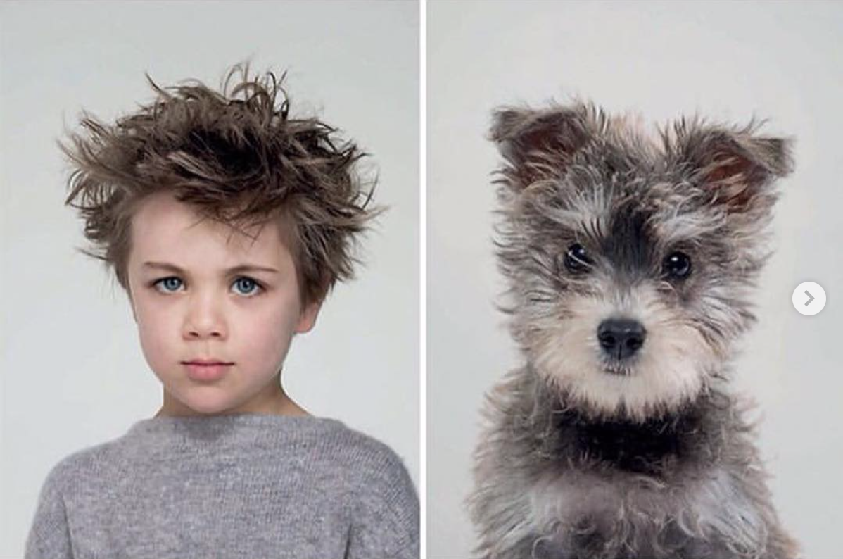 babyanimalgifs: Photographer puts dogs and their owners side by side, and the resemblance