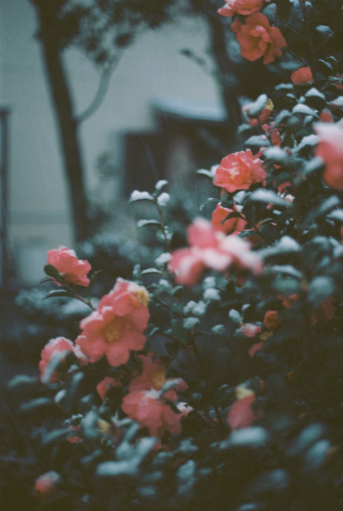                 Hipster &amp; Indie Photography Blog ☯   