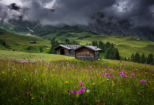 silvaris: Dramatic day on the meadow - Moody morning in the Dolomites. by Aleš Krivec