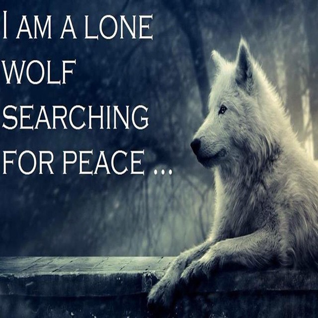 Nightmares Vengance on Tumblr: #lone #wolf #lonewolf #searching #peace # quote #quotes #poem #poems #poetic #poetry #words #dark #darkquote  #beautyinthedarkness...