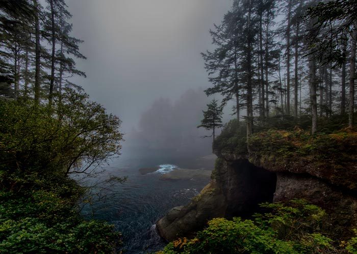 rowrz:  -decay:  mostly pale  nature and more 