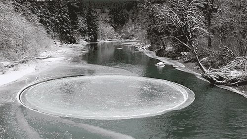 maggie-stiefvater: itscolossal: A Giant Naturally Occurring Ice Circle Appears Briefly in a Washingt