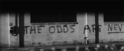 cheeseceratops:  The odds are never in our favor 