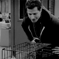 margorobbie:#the kitten in the forth gif is a mood 
