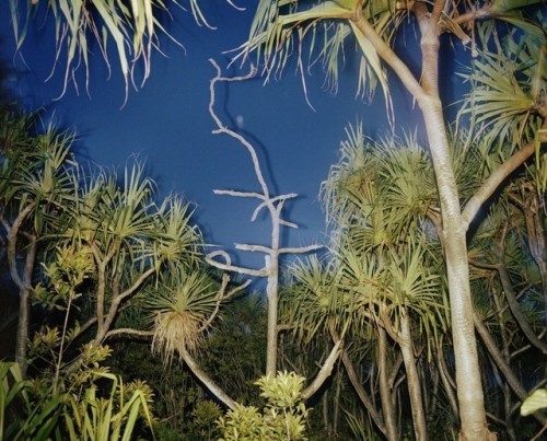 pleoros:Richard Misrach - Untitled (Hawaii XV), 1978