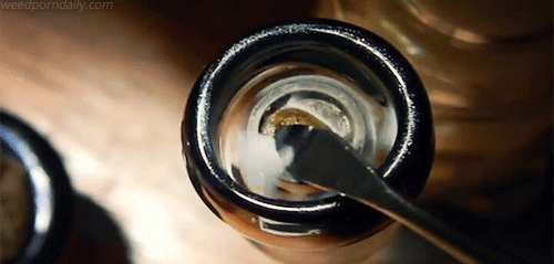 weedporndaily:  TGA Hash (x) 