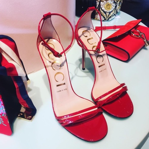 Our GUCCIMania is increasing everyday #Shoeholic #ShoeoftheDay #ShoeLover #GlamInspiration #Fashiona