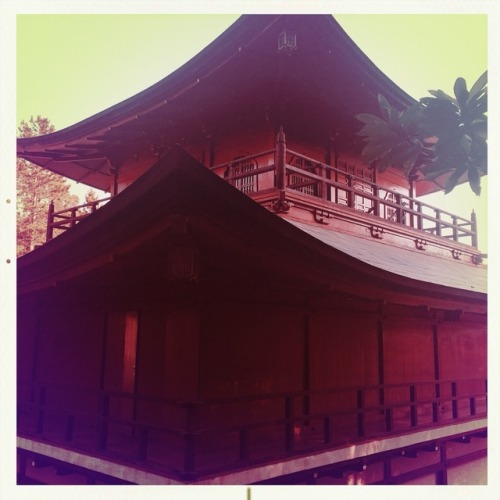 Olha onde dei aula hoje (5). #kinkakuji #enkoji