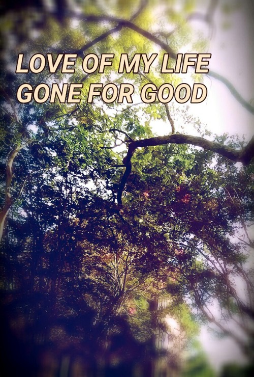 tfbquotes:West Virginia / The Front Bottoms[also on Katana Demo]