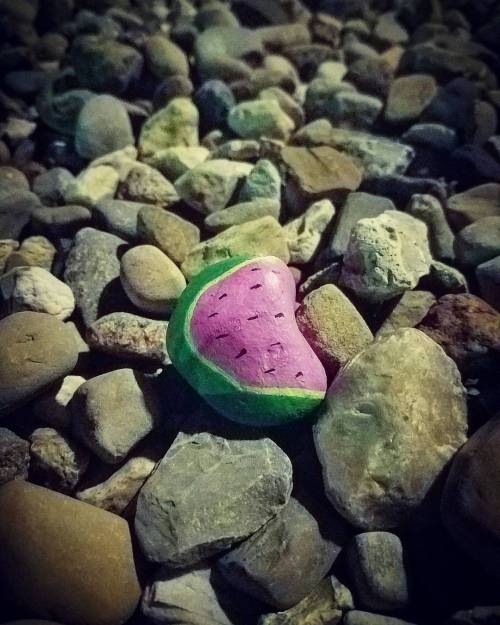 Day 43: #rockmy365days#rocks #stones #doodle #365project #artproject #art #rockart #watermelon #piec