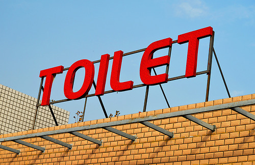 The &ldquo;Toilet&rdquo; was at a rest area on the way to Luoyong to see the Longmen Grottos