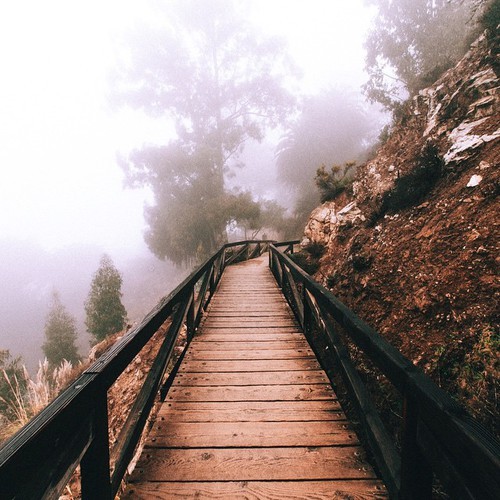 chelsearoseg:  xx