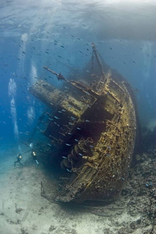 theparlor:Shipwreck in the Red Sea A pair of divers explore the 100-metre long cargo ship Giannis D,