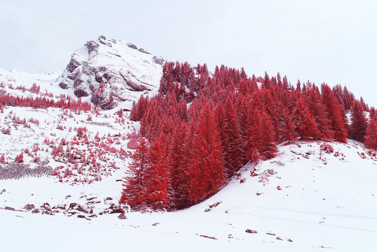 banshy:  Infrared // Pierre-Louis FERRER  