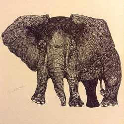 #Pen #Ink #Elephant #Art #Drawing #Myartskills