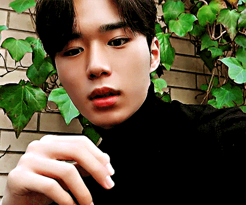 ruicentral - RUi Central