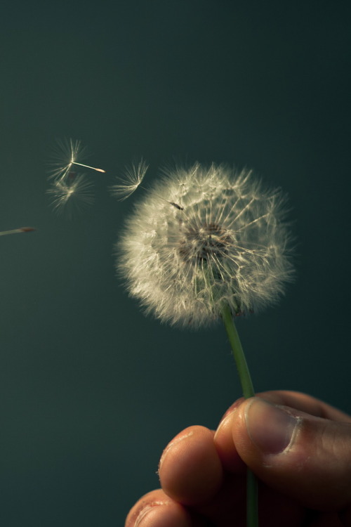 r2–d2:  Untitled by (Frau Böb) 