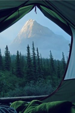 al-grave:  What a view to wake up to…