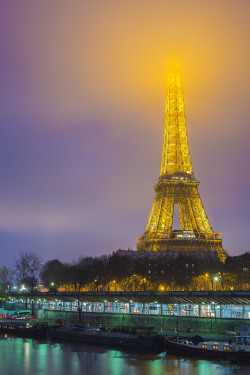  Foggy Paris Morning | © | AOI 