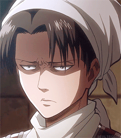 deviltriggerr-deactivated201504:  clean freak rivaille heichou (눈3눈) 