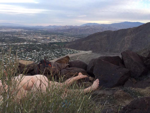 thefaggotbrigade:  Dans la nature…
