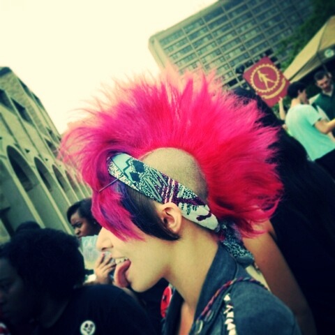 dixxxon:  ashleyanemia:  Gordy’s hawk makes me uber happy.   ….OH lol 