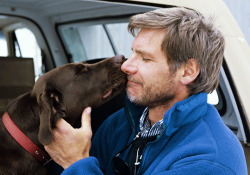 waititi: harrison ford with his dog betty