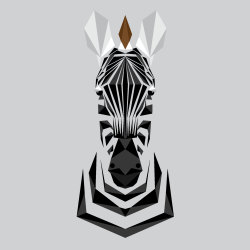 thekhooll:  Z For Zebra Gorgeous, endangered